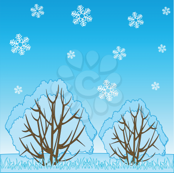 Vector illustration of the nature in winter and falling snow