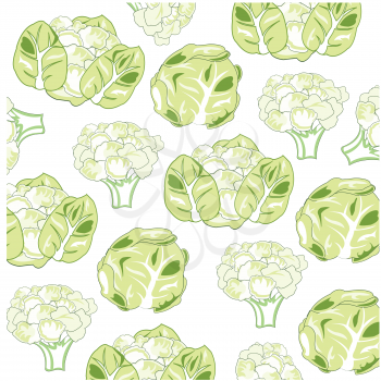 Sort of the cabbage pattern on white background is insulated