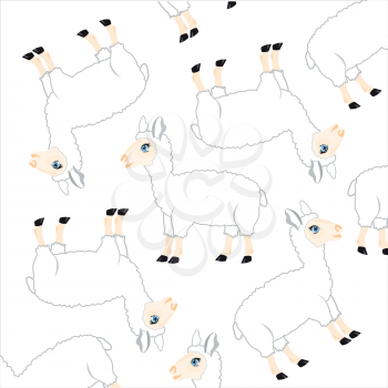 Animal sheep on white background is insulated