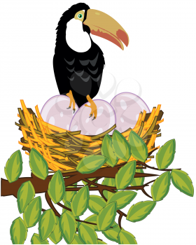 Vector illustration of the branch tree with jack and bird with egg