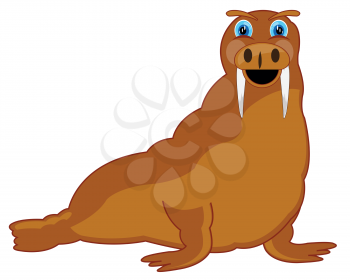 Cartoon of the walrus on white background is insulated