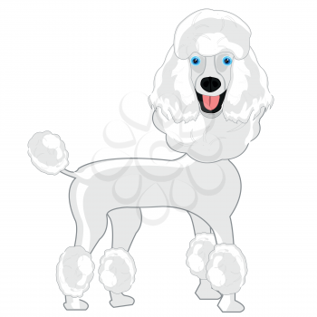 Vector illustration of the cartoon of the dog of the sort poodle