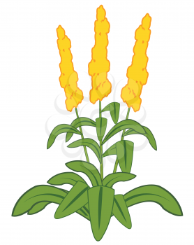 Vector illustration of the green plant with yellow flower