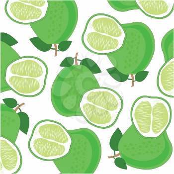 Vector illustration of the exotic ripe fruit pomelo