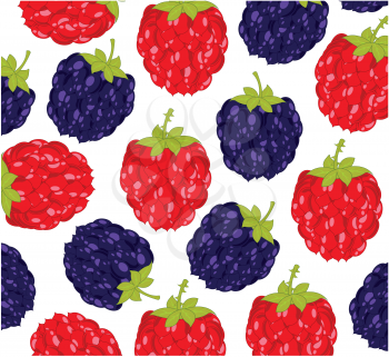 Vector illustration of the berry of the raspberry and blackberry decorative pattern