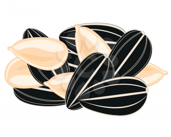 Vector illustration of the small circle ripe seeds sunflowe