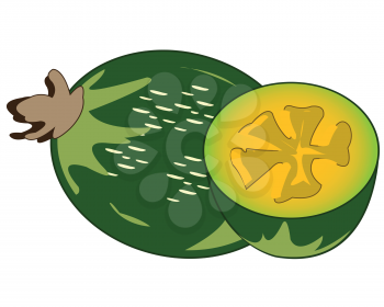 Vector illustration ripe exotic feijoa fruit and pulps
