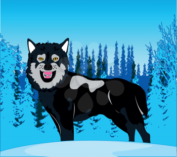 Vector illustration of the ravenous wildlife wolf and winter wood