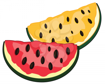Two pieces of the ripe watermelon of the varied sort