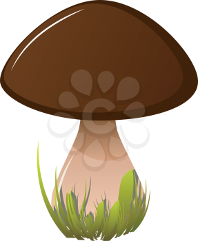 Royalty Free Clipart Image of a Boletus Mushroom