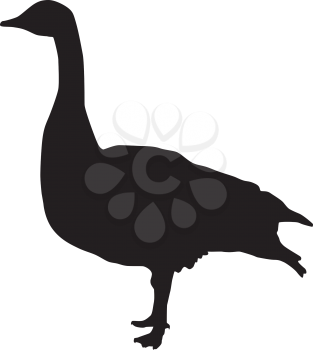 Silhouette of a Canadian goose