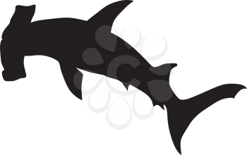 vector hammerhead shark 