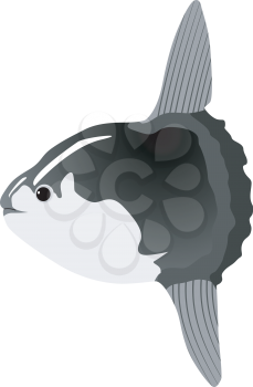 sunfish 
