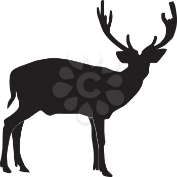 Vector illustration of deer