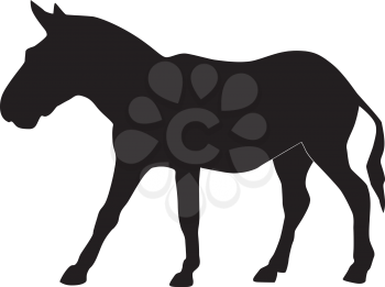 Vector illustration of a donkey