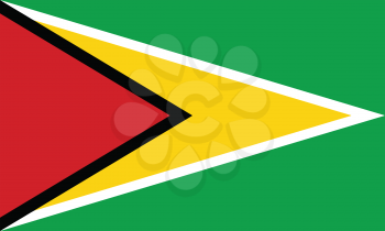Vector illustration of the flag of Guyana  
