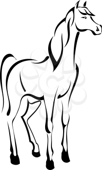 Tattoo standing horse