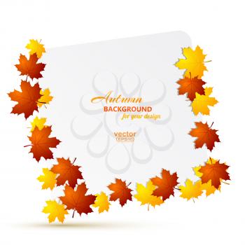 Frame of yellow maple autumn leaves on a white background. Vector illustration.
