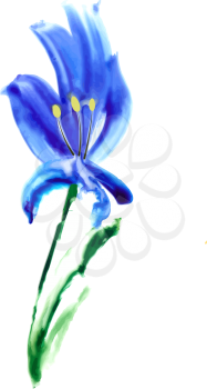 Watercolor iris isolated on a white background. Artistic. Vector illustration.