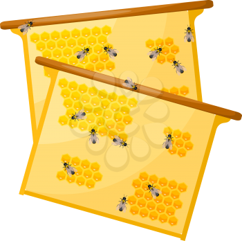 Worker bees on honey comb on a white background. Objects apiary. Vector honey production icon. Stock vector
