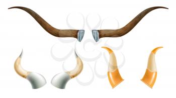 Set of horns of wild animals. Vessels for wine and alcohol on a white background. Vector illustration of nature objects for design