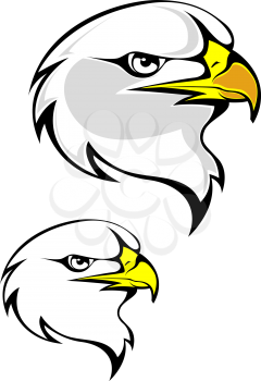 Predator bird head for mascot isolated on white background. Vector illustration
