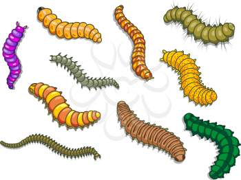 Cartoon worms and other insects. Vector illustration