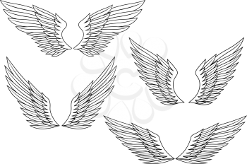Set of wings for heraldry design