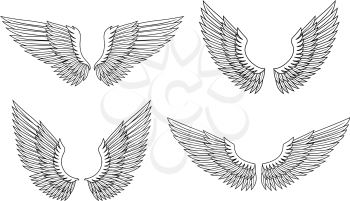 Set of angel wings for heraldry design. Vector illustration