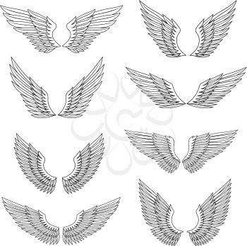 Heraldic wings and feather set for design, isolated on white