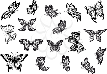 Large set of black and white vector doodle sketch butterflies with various shaped wings and in different flying positions