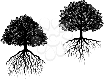 Two black and white vector trees showing different root systems with intricate fibrous roots and differently shaped leafy canopies