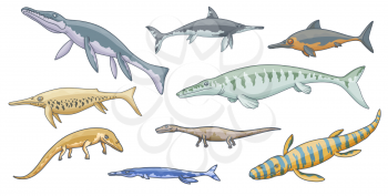 Dinosaur animal cartoon icons of jurassic sea monsters. Prehistoric marine reptiles of kronosaurus, ichthyosaurus, liopleurodon and nothosaurus, ophthalmosaurus, shonisaurus and tylosaurus