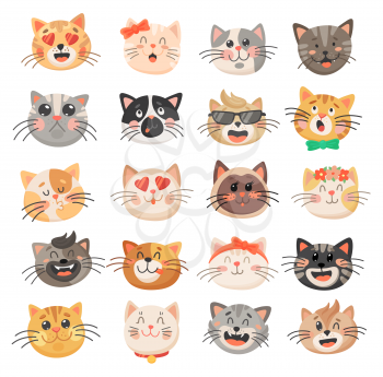 Cat heads with cute faces, vector kitten emoticons. Funny kitty pet animal cartoon characters with different emotions and facial expressions, happy, sad, crazy, girly and loving emoji