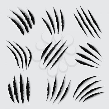 Claw scratches and marks vector design of animal paws torn traces, slashes and scars. Tiger, lion, cat, bear, horror dinosaur monster and scary werewolf beast attack damages