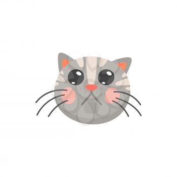 Grey tabby kitten with big black eyes isolated shocked emoji. Vector surprised fluffy cat head, hand drawn portrait of home animal with surprised or curious look. Frightened cat with open eyes