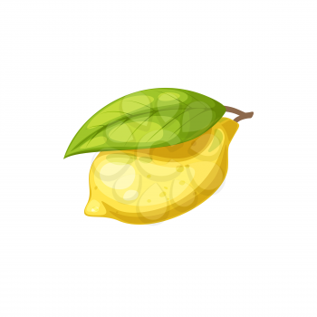 Whole lemon yellow citrus fruit with green leaf isolated icon. Vector tropical citron, ripe sour fruit in zest, organic exotic lemonade and tea ingredient. Juicy lemon with foliage in realistic design