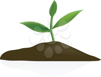 Royalty Free Clipart Image of a Plant in Soil