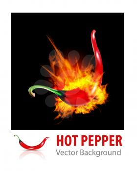 Burning Red Chili Pepper on black background