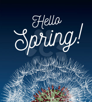 Text message hello spring, against a background of a spring landscape with a dandelion close-up. Vector illustration