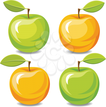 Vector illustration of yellow and green apples isolated on white