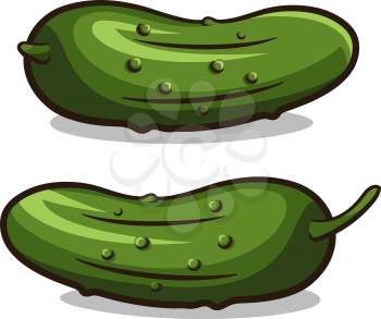 Vector illustration of cucumbers isolated on white
