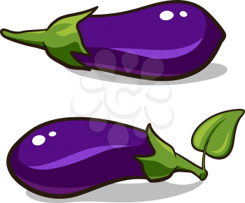 Vector illustration of eggplants isolated on white
