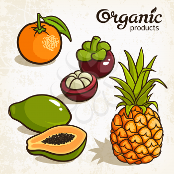 Vector illustration of exotic fruits: pineapple, orange, mangosteen, papaya