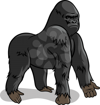 Gorilla isolated on white. Vector illustration