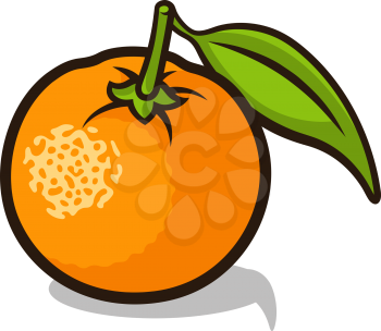 Vector illustration of an orange isolated on a white background