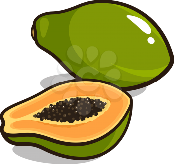 Vector illustration of ripe papaya fruits isolated on white