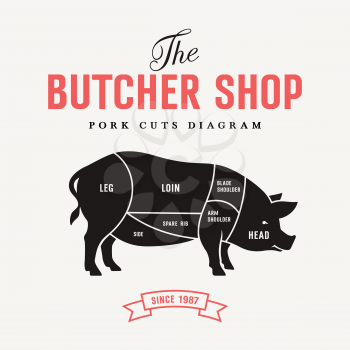 Pork cuts diagram, vector illustration for butcher shop and Farm Market