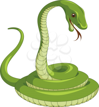 Vector illustration of snake isolated on white