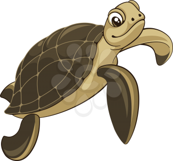 Vector illustration of a sea turtle isolated on white